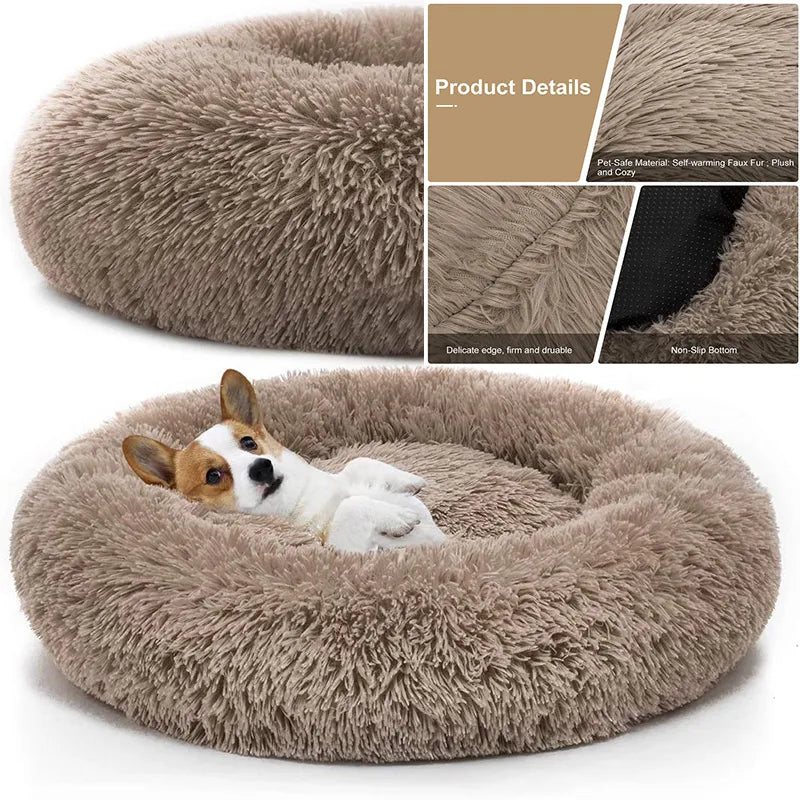 Pet shop donut bed