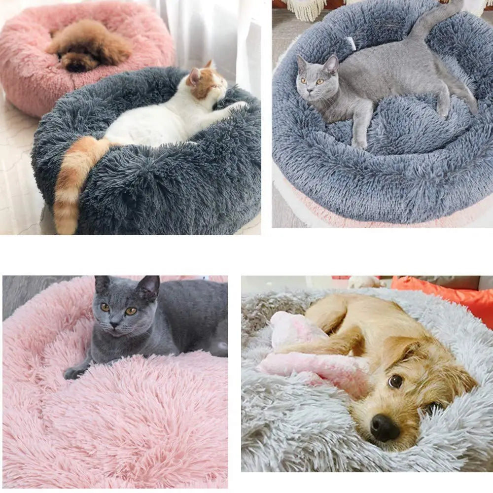 Pet Donut Bed